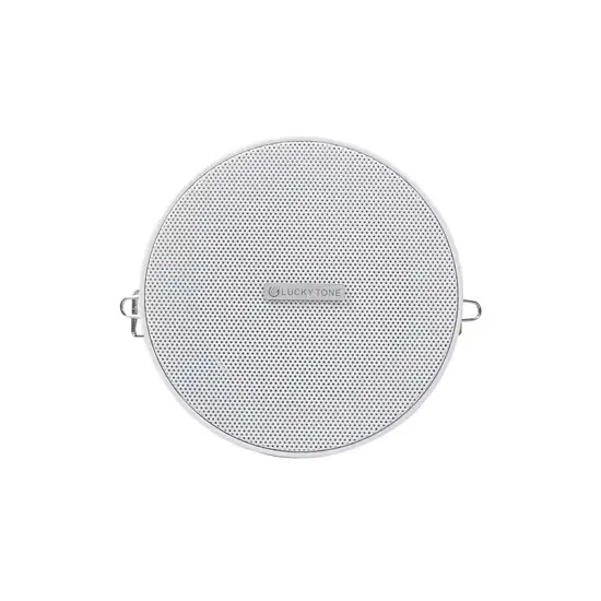 Plastic ceiling speaker rimless 2.5"