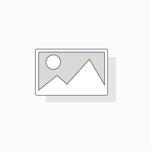 SwitchPro 08 port unmanaged
